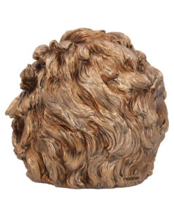 Albert Einstein Totenkopf 21cm -Halloween Kostüm Geschäft albert einstein totenkopf albert einstein totenschaedel albert einstein skull 54562 04