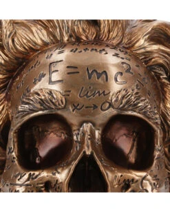 Albert Einstein Totenkopf 21cm -Halloween Kostüm Geschäft albert einstein totenkopf albert einstein totenschaedel albert einstein skull 54562 05