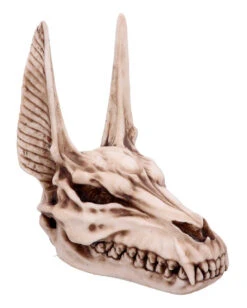 Anubis Totenkopf Figur 17cm 9 Anubis Totenkopf Figur 17cm -Halloween Kostüm Geschäft anubis totenkopf figur anubis totenschaedel figur anubis skull figurine 51020 05