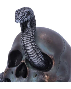Das Schicksal Der Schlange Gothic Schädel 19cm -Halloween Kostüm Geschäft das schicksal der schlange gothic schaedel 19cm serpentine fate gothic snake skull gothic deko totenkopf 53993 5