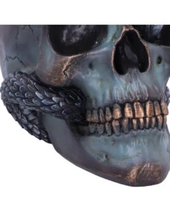 Das Schicksal Der Schlange Gothic Schädel 19cm -Halloween Kostüm Geschäft das schicksal der schlange gothic schaedel 19cm serpentine fate gothic snake skull gothic deko totenkopf 53993 6