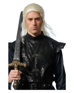 Drachenreiter Prinz Perücke