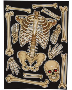 Fenster Dekoration Skelett 30x40 Cm