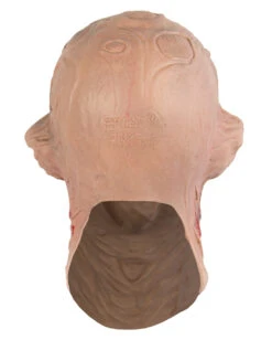 Freddy Maske Blutrausch -Halloween Kostüm Geschäft freddy krueger maske blutrausch nightmare on elm street merchandise horrorfilm freddy schaumlatexmaske 14272 3