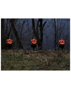 Halloween Kürbis Mit Erdspieß 3er-Set -Halloween Kostüm Geschäft halloween kuerbis erdspiess 3er set halloween und horror aussendeko halloween pumpkin led decoration 53954 4