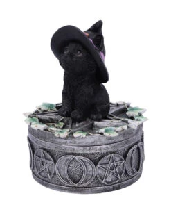 Hexenkatze Auf Pentagramm Box 15cm -Halloween Kostüm Geschäft hexenkatze auf pentagramm box 15cm witchs cat familiar box figurine gothic deko und wohnaccessoires 52299 2