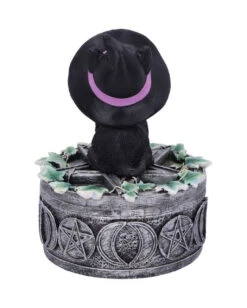 Hexenkatze Auf Pentagramm Box 15cm -Halloween Kostüm Geschäft hexenkatze auf pentagramm box 15cm witchs cat familiar box figurine gothic deko und wohnaccessoires 52299 3