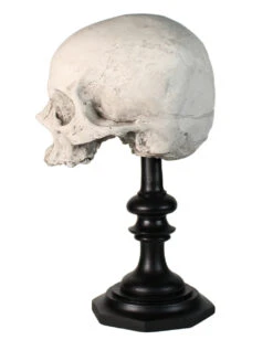 J. DOE Totenkopf Auf Sockel 20cm -Halloween Kostüm Geschäft j doe totenkopf auf sockel j doe totenschaedel auf sockel j doe skull plinth gothic homware 54857 02