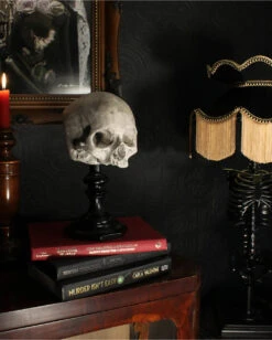 J. DOE Totenkopf Auf Sockel 20cm -Halloween Kostüm Geschäft j doe totenkopf auf sockel j doe totenschaedel auf sockel j doe skull plinth gothic homware 54857 05