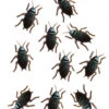 Kakerlaken 10er Packung