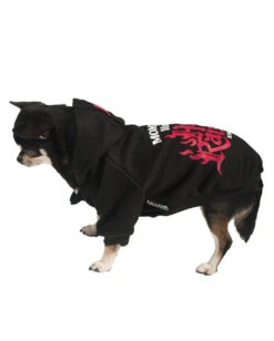 KILLSTAR Mommy's Hellraiser Hund & Katze Hoodie -Halloween Kostüm Geschäft killstar mommys little hellraise hunde und katzen hoodie tier puollover gothic fashion von killstar 52204 3