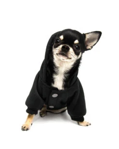 KILLSTAR Witch Mom Hund & Katze Hoodie -Halloween Kostüm Geschäft killstar witch mom hund und katzen hoodie killstar clothing for pets gothic und alternative shop 51592 2
