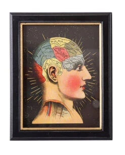 Phrenology Bilderdruck Mit Rahmen 25x20cm