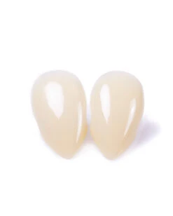 Scarecrow Lady Fangs Vampir Eckzähne 11 Scarecrow Lady Fangs Vampir Eckzähne -Halloween Kostüm Geschäft scarecrow custom fangs scarecrow vampir eckzaehne vampirzaehne scarecrow ladyfangs 14534 06