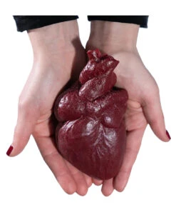 Schneidbares Menschenherz Aus Gelatine