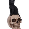 Schwarze Katze Auf Totenkopf 24,3cm