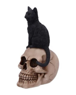 Schwarze Katze Auf Totenkopf 24,3cm -Halloween Kostüm Geschäft schwarze katze auf totenkopf schwarze katze auf totenschaedel black cat on skull figurine gothic deko 50840 03