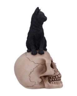 Schwarze Katze Auf Totenkopf 24,3cm -Halloween Kostüm Geschäft schwarze katze auf totenkopf schwarze katze auf totenschaedel black cat on skull figurine gothic deko 50840 04