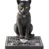 Schwarze Katze Mit Ouija Brett