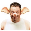 Schweine Ohren