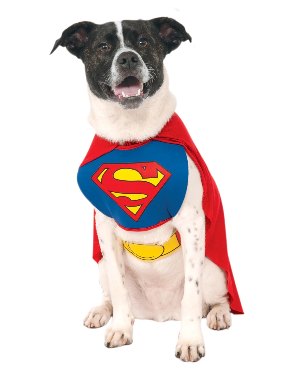 Superman Hunde Kostüm M 1 Superman Hunde Kostüm M