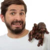 Tarantula Als Schulter-Clip