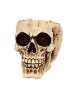 Totenschädel Schale Mit Offener Schädeldecke 8 Totenschädel Schale Mit Offener Schädeldecke -Halloween Kostüm Geschäft totenschaedel schale mit offener schaedeldecke realistic skull mug morbide gothic deko halloween deko totenschaedel 39289 3