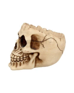 Totenschädel Schale Mit Offener Schädeldecke 10 Totenschädel Schale Mit Offener Schädeldecke -Halloween Kostüm Geschäft totenschaedel schale mit offener schaedeldecke realistic skull mug morbide gothic deko halloween deko totenschaedel 39289 4