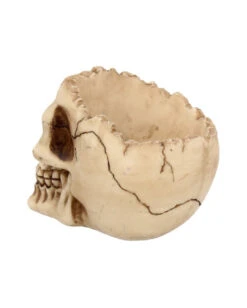 Totenschädel Schale Mit Offener Schädeldecke 9 Totenschädel Schale Mit Offener Schädeldecke -Halloween Kostüm Geschäft totenschaedel schale mit offener schaedeldecke realistic skull mug morbide gothic deko halloween deko totenschaedel 39289 5