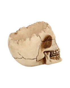 Totenschädel Schale Mit Offener Schädeldecke 11 Totenschädel Schale Mit Offener Schädeldecke -Halloween Kostüm Geschäft totenschaedel schale mit offener schaedeldecke realistic skull mug morbide gothic deko halloween deko totenschaedel 39289 6