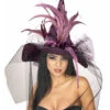 Hexenhut Mit Federn Violett