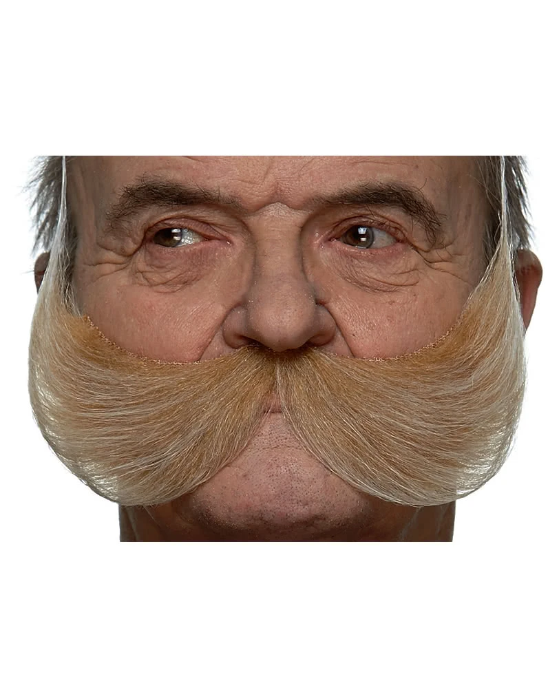 XXL Schnauzer Blond 1 XXL Schnauzer Blond