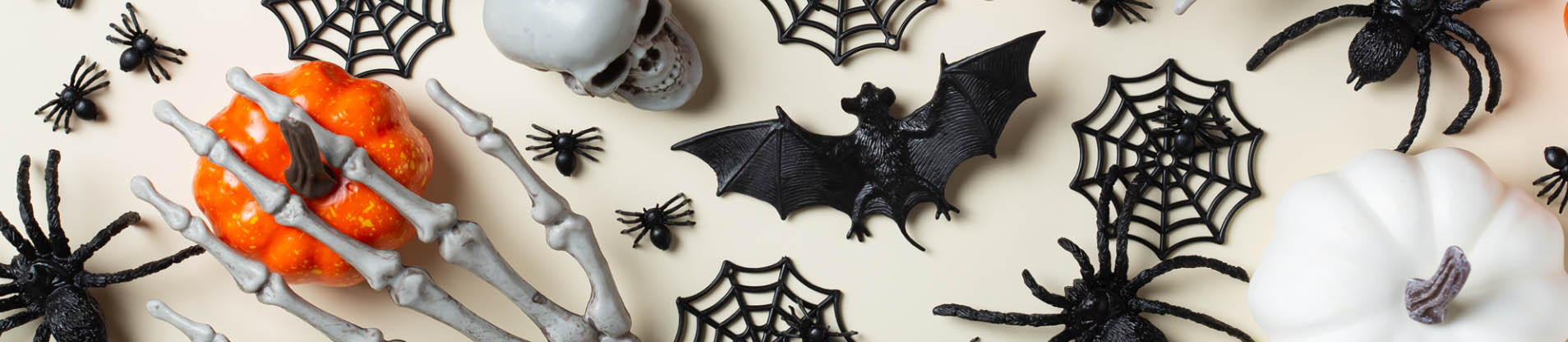 Halloween Kostüm Geschäft -Halloween Kostüm Geschäft sdfgsg